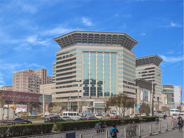 松江区疾病动物模型建模